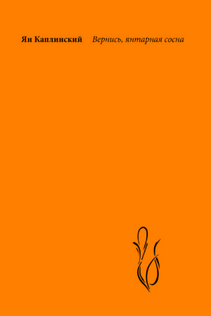 Вернись, Янтарная сосна